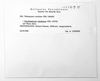 Image Associated With the Occurence